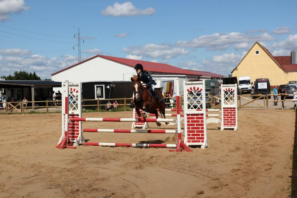 Welsh Cob (sec D) Jet!<3 solgt.. - Boller.rideklub!:-) LA** billede 12