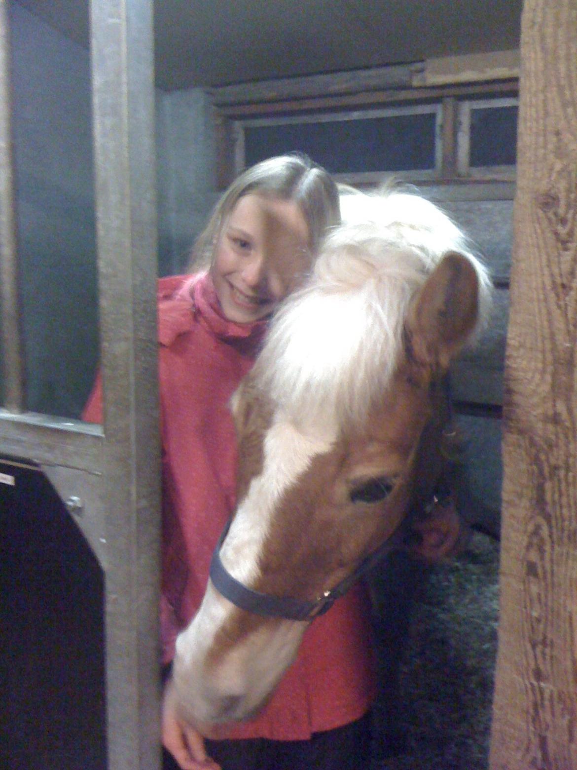Haflinger Sissi - Jeg elsker dig Sissi!!!<3<3 billede 23
