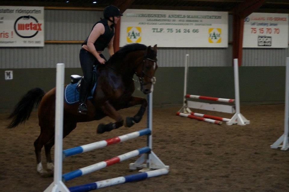 Anden særlig race freeman (fimse/gustav) billede 19