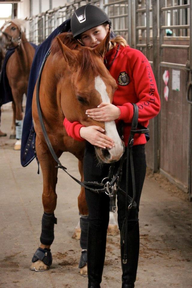 Hollandsk Sportspony Westerhuis Stijn - Billede 4.
Min lille baby!<3
Fotograf: Sine Meiling billede 4