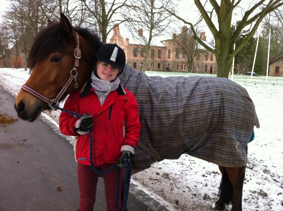 Anden særlig race Freja billede 2
