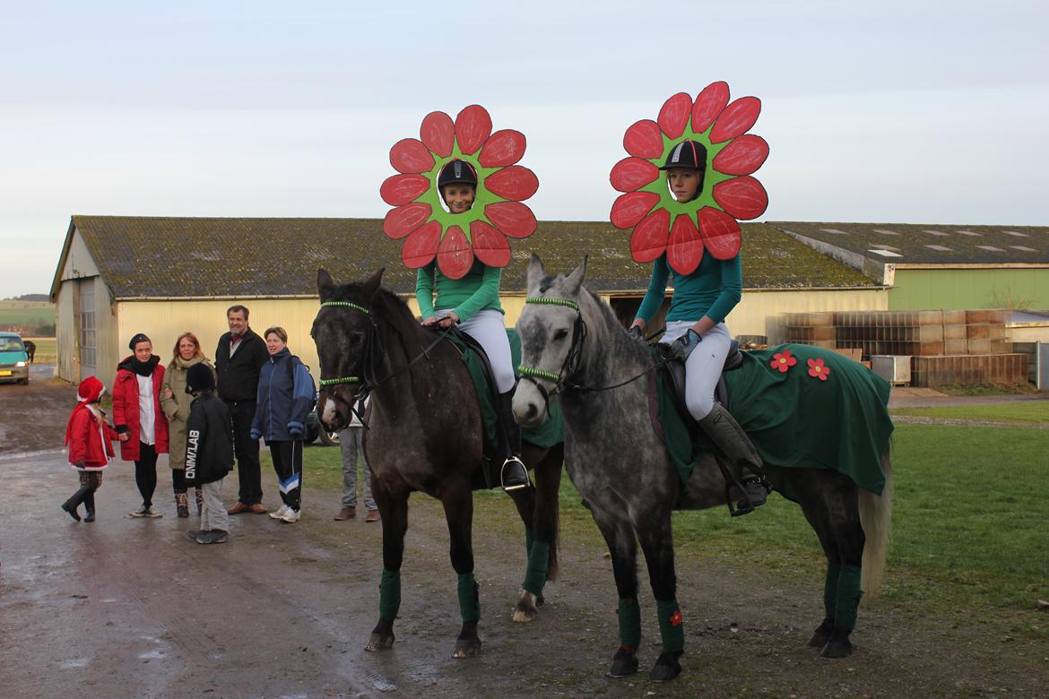 Anden særlig race Karisma  - Par ridning med udklædning; Fiffi og blomsterbørnene billede 8