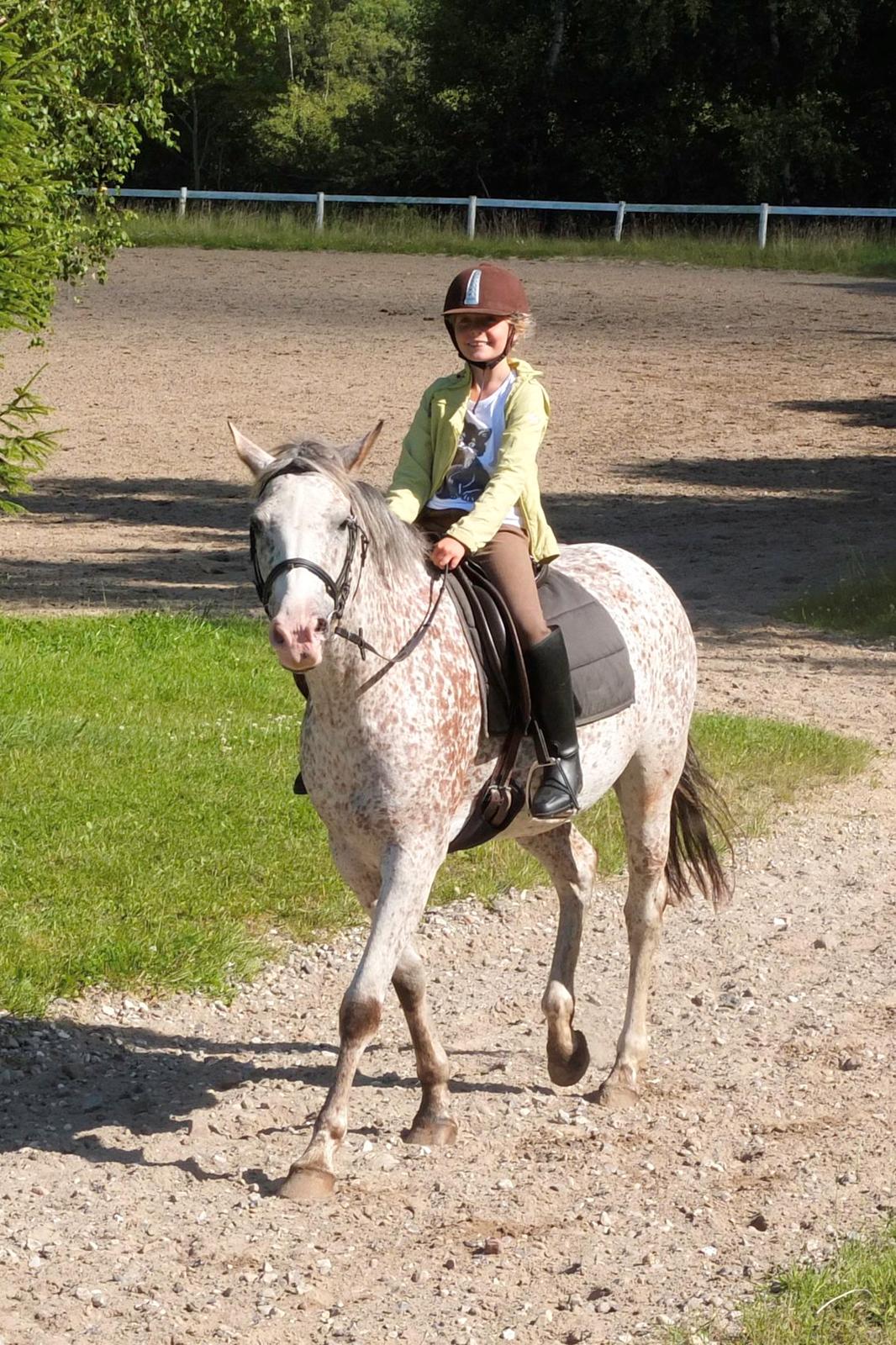 Appaloosa Opalia<3 *Savnet og elsket* billede 6