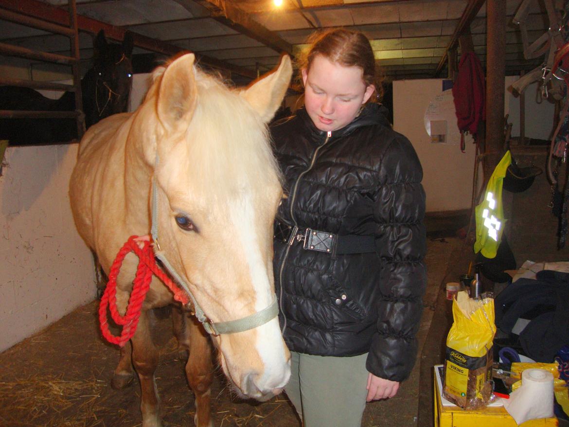 Palomino Anyska/ Nysse billede 6