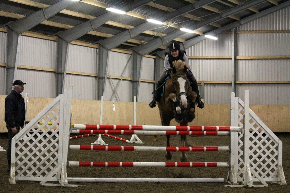 Engelsk Varmblod Edward - Spring med tidligere ejer. Han er rigtig god til at springe og elsker det! :) billede 12