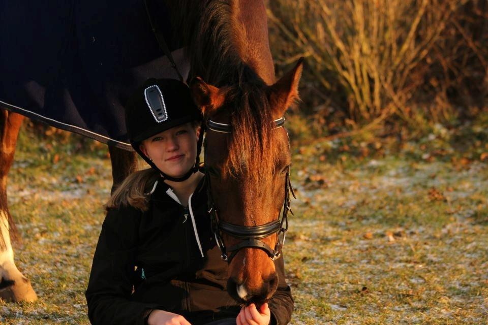 Anden særlig race Felix - En pony med hjerte af guld. Foto: N.T.M :-) billede 4