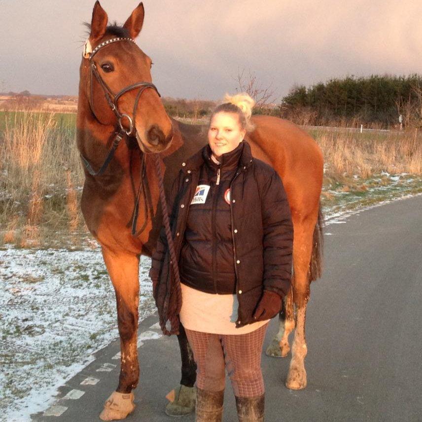 Anden særlig race † Indicano La Strada (indy) R.I.P† billede 16