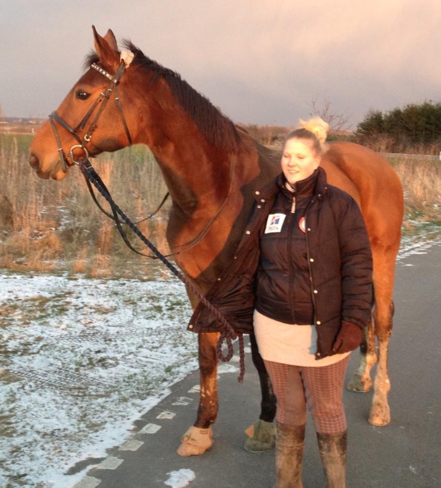 Anden særlig race † Indicano La Strada (indy) R.I.P† billede 17