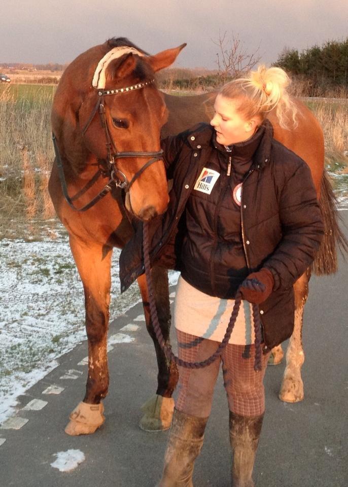 Anden særlig race † Indicano La Strada (indy) R.I.P† billede 18