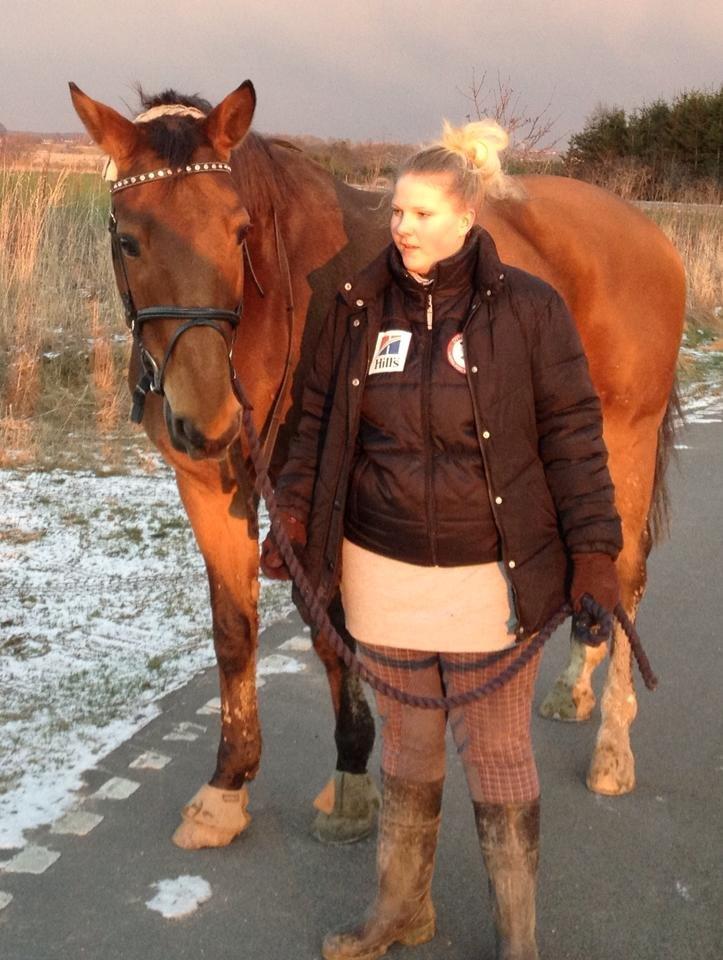 Anden særlig race † Indicano La Strada (indy) R.I.P† billede 19