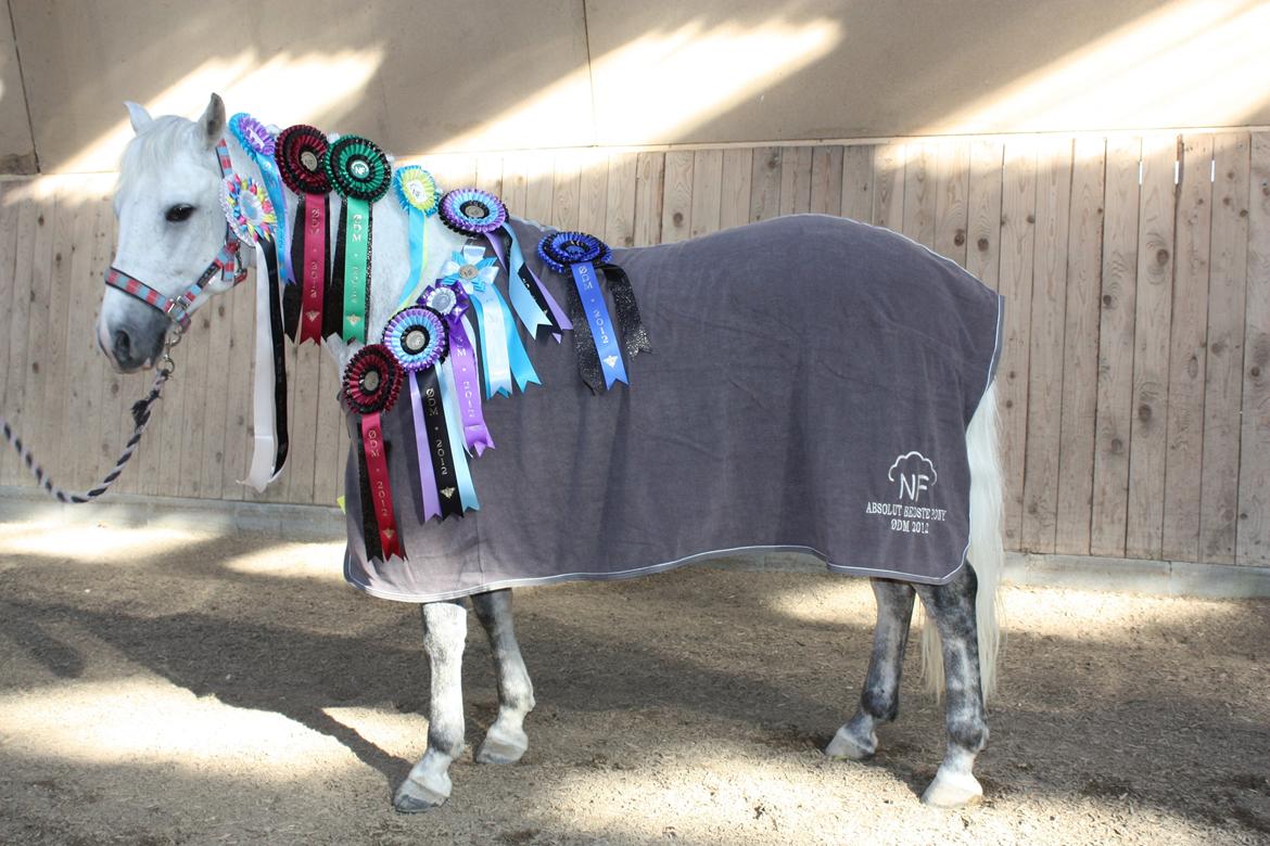 New Forest Firfod Brdr. Olsen billede 14