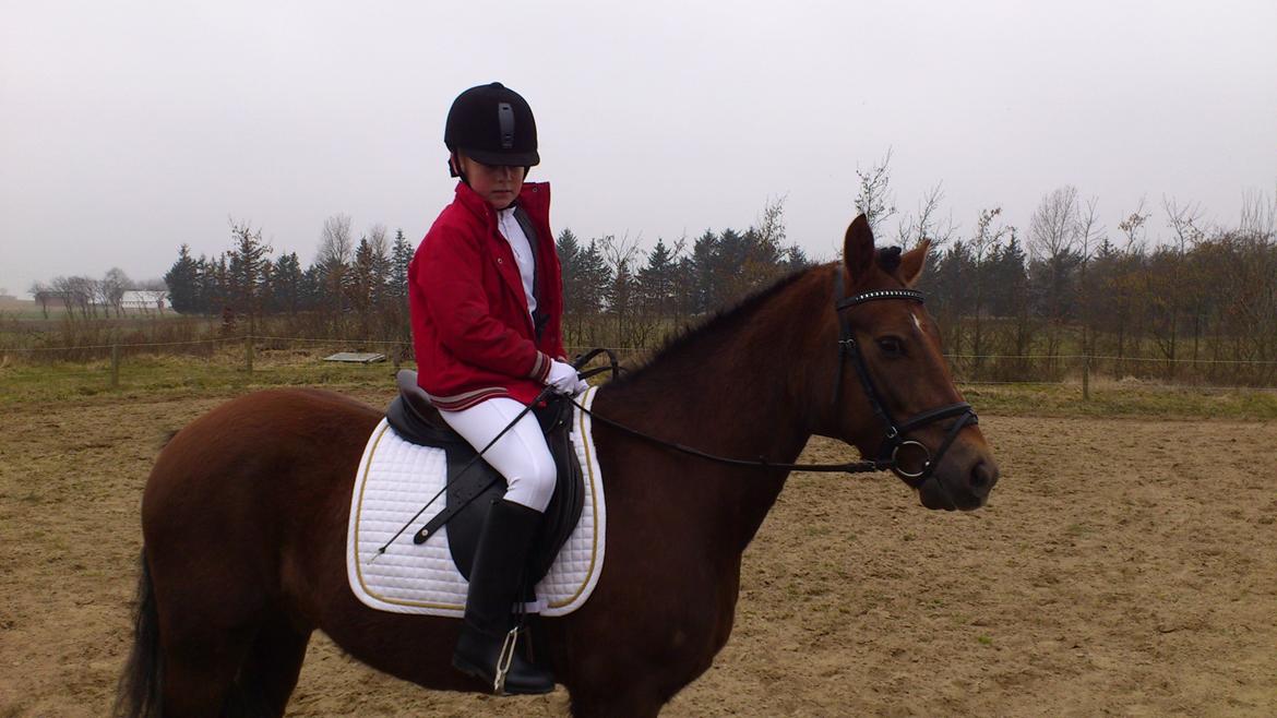 Anden særlig race Pink Pigeon R.I.P.<3 - Opvarmning Til Stævne På Dansbjerg. billede 5