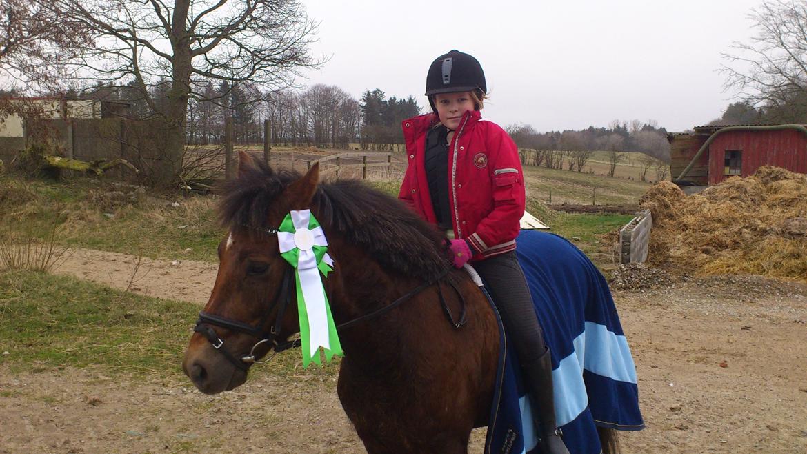 Anden særlig race Pink Pigeon R.I.P.<3 - 3.Plads Til Spring (Hvar Ikke Til Præmie Overrækkelsen Så Fik Den En Anden Dag) billede 6