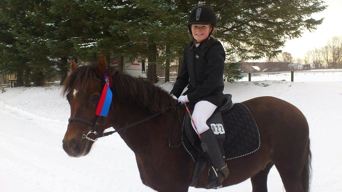 Anden særlig race Pink Pigeon R.I.P.<3 - Der Var Virkelig Koldt Glad For At Jeg Fik Lidt Med Hjem. billede 8