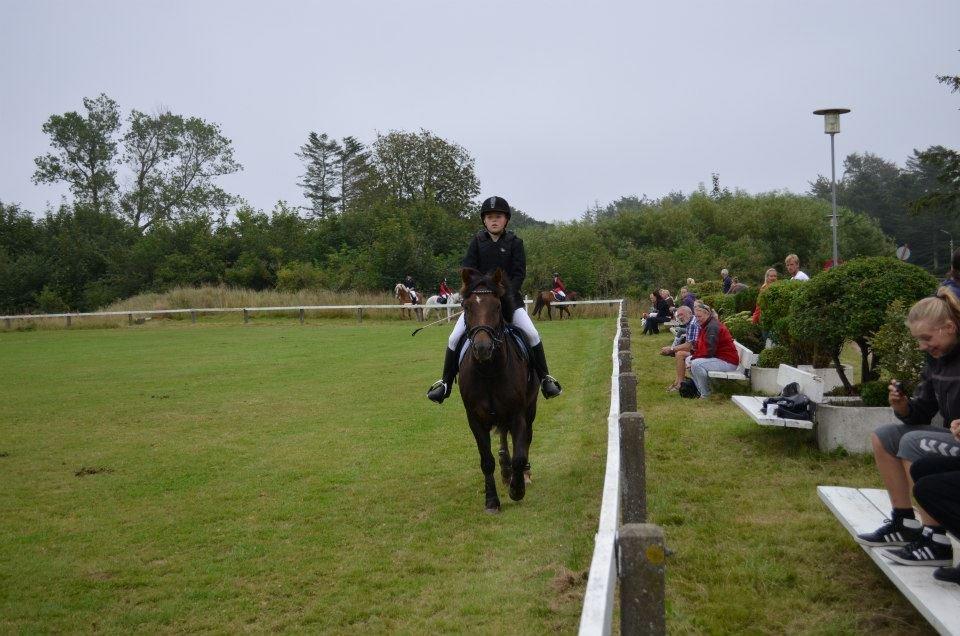 Anden særlig race Pink Pigeon R.I.P.<3 - Havde Lige Glemt Banen Heldigvis Hviste Pigeon Hvad Jeg Lavede. billede 10