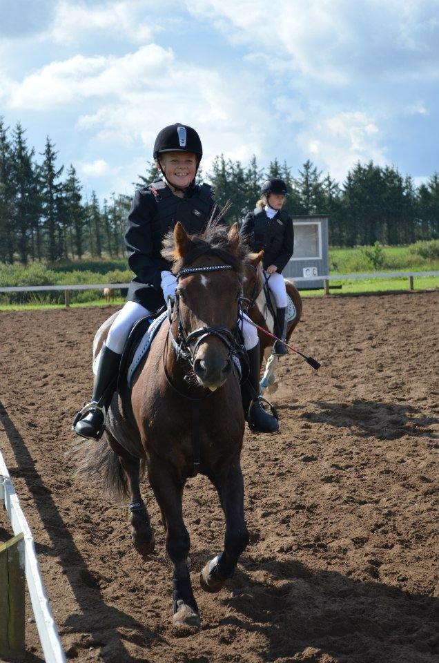 Anden særlig race Pink Pigeon R.I.P.<3 - Hvar Mega Stolt Over Pigeon<3 billede 11