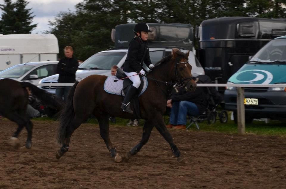 Anden særlig race Pink Pigeon R.I.P.<3 - På Vej Ud Af Banen, Elsker Bare Den Hest<3 billede 12