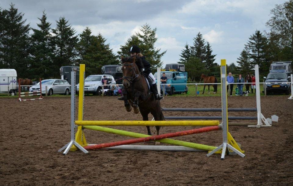 Anden særlig race Pink Pigeon R.I.P.<3 - Han er Bare Lækker<3 billede 14