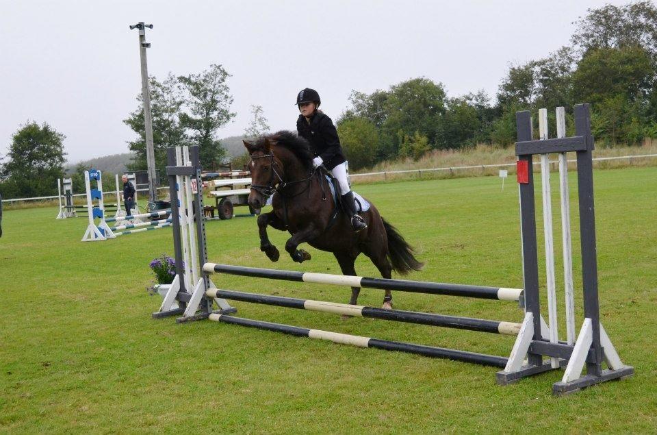 Anden særlig race Pink Pigeon R.I.P.<3 - Vi Flyver Jo Over<3 billede 15