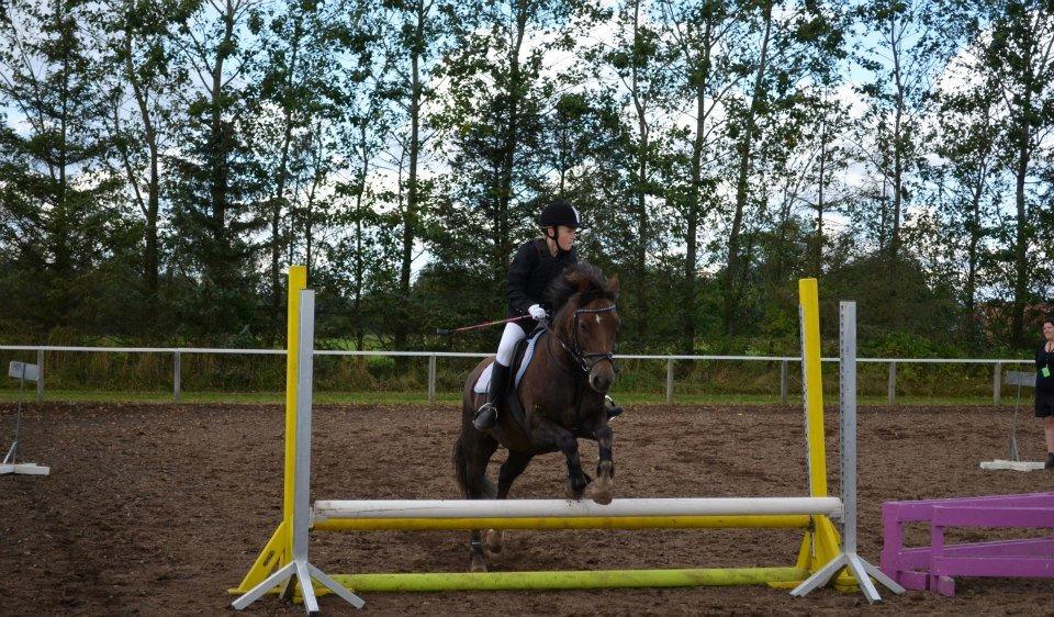 Anden særlig race Pink Pigeon R.I.P.<3 - Du Er Bare Så Sød<3 billede 17