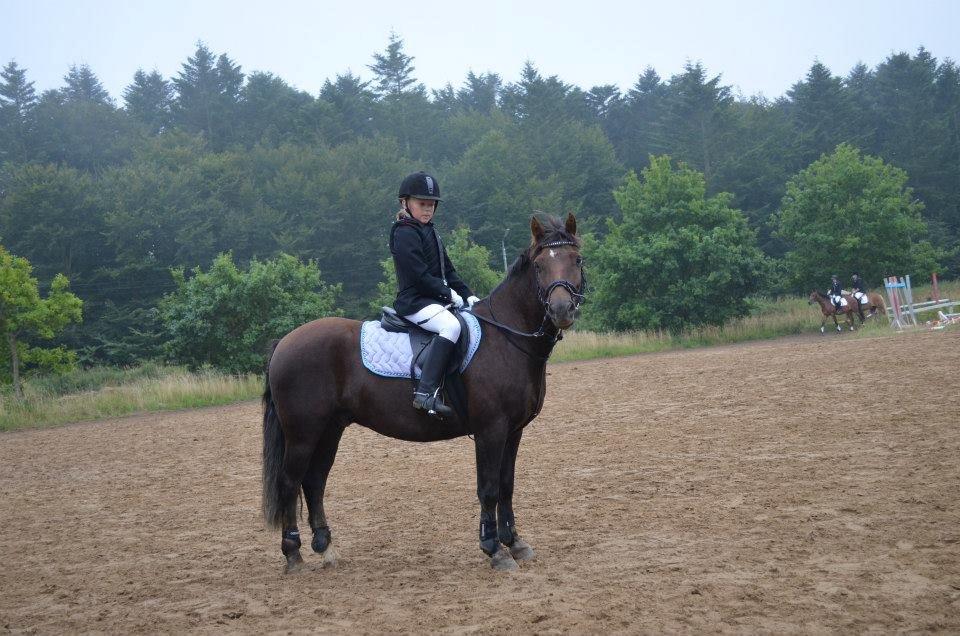 Anden særlig race Pink Pigeon R.I.P.<3 - Han Er Bare Så Nusser<3 Et Af De Bedste Billeder Jeg Har. billede 18