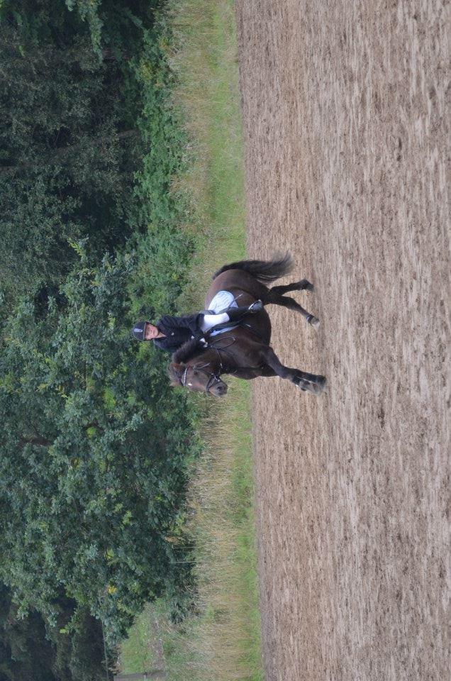 Anden særlig race Pink Pigeon R.I.P.<3 - Dejlig Galop På Opvarmnings Banen<3 billede 13