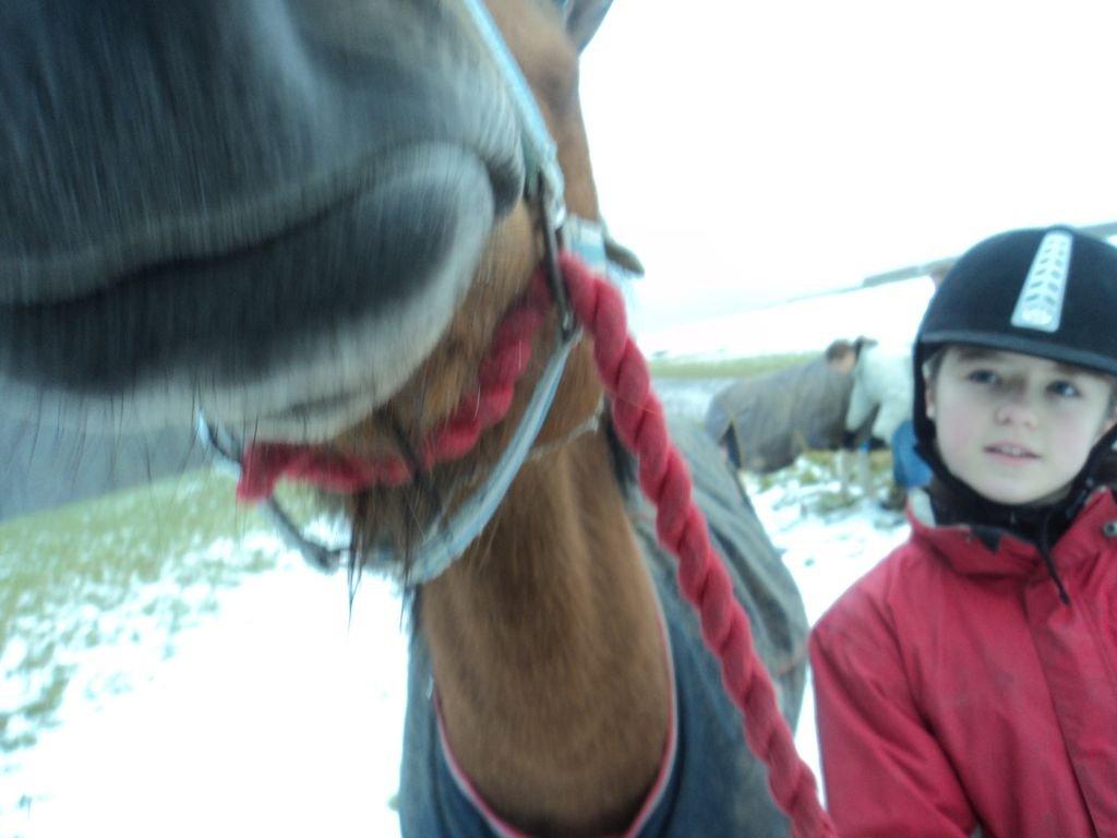 Anden særlig race Freja billede 10