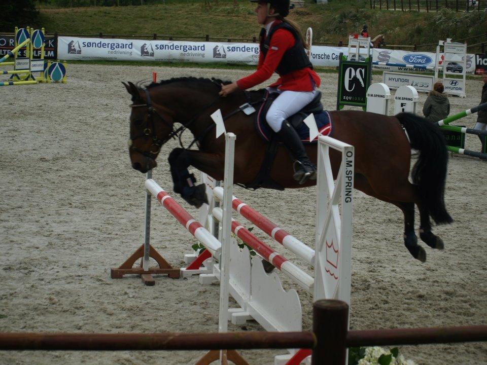 Anden særlig race Sam - Velkommen til Sams profil, smid en kommentar! billede 1