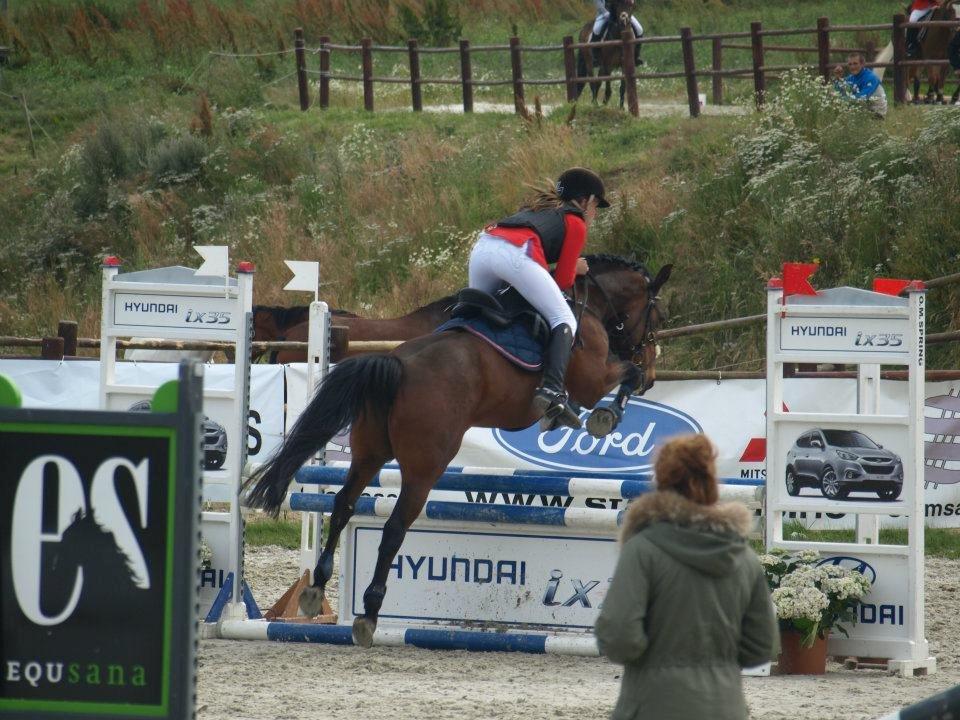 Anden særlig race Sam billede 2