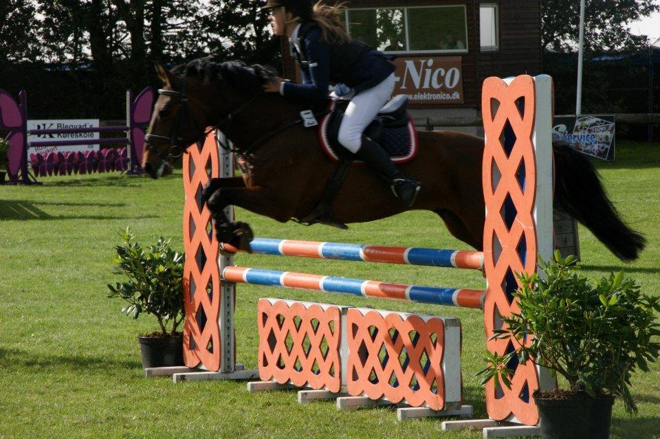 Anden særlig race Sam billede 3