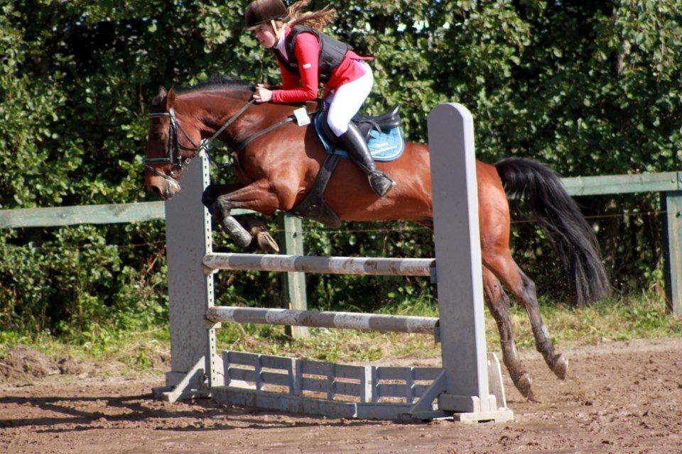 Anden særlig race Sam billede 4