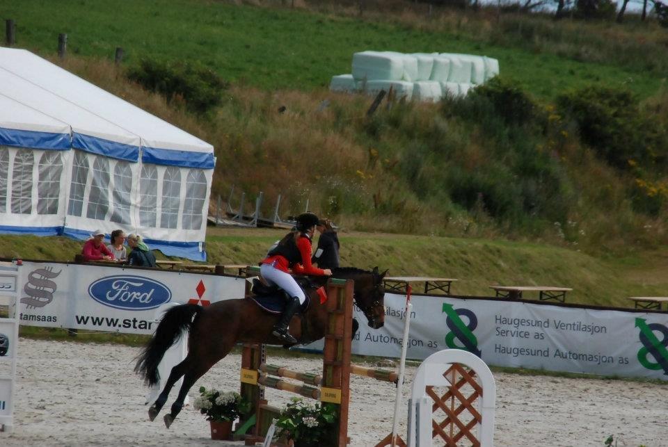 Anden særlig race Sam billede 5