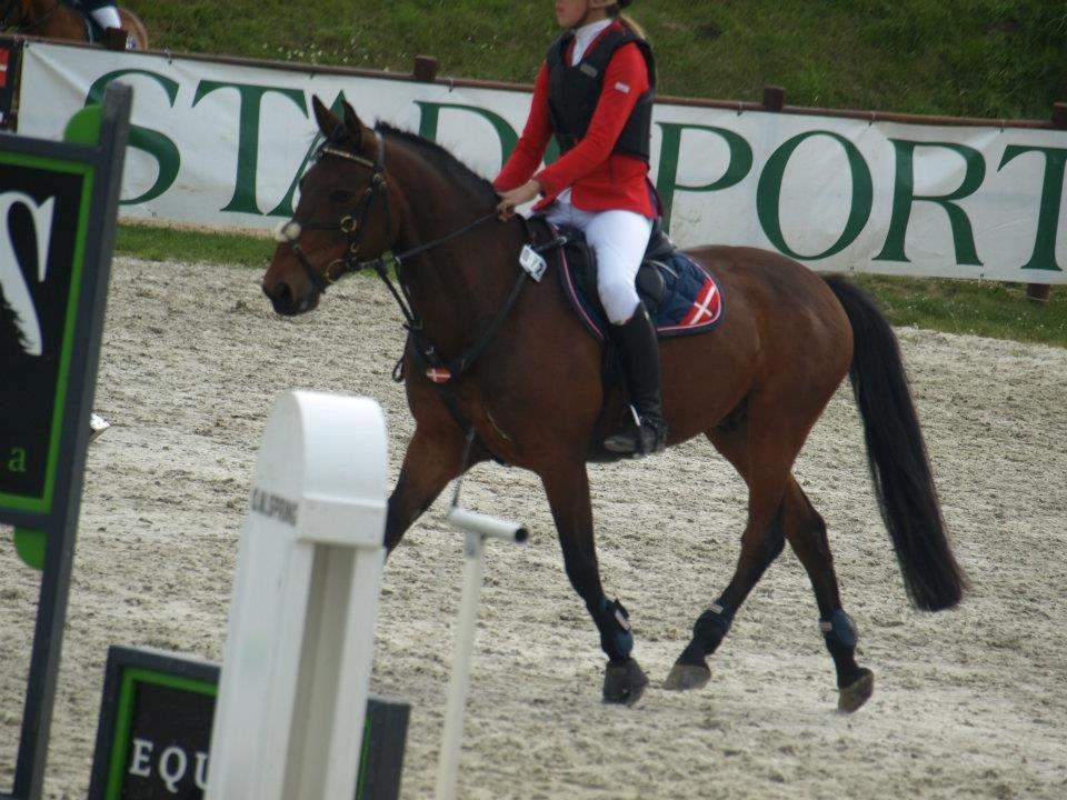 Anden særlig race Sam billede 6