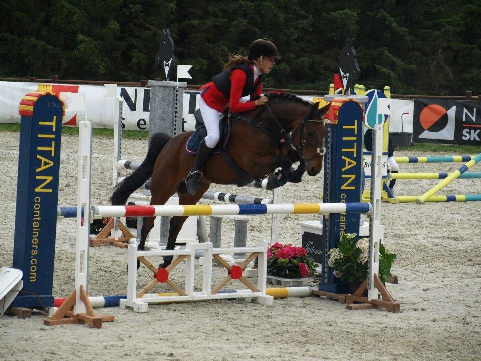 Anden særlig race Sam - Den seje bamse billede 7