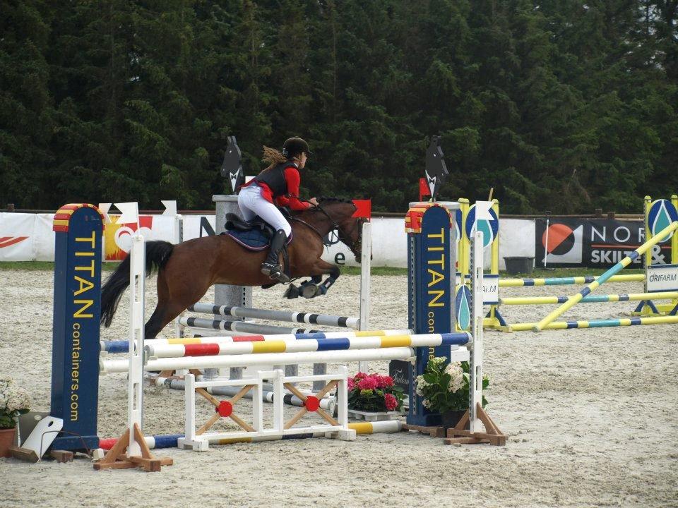 Anden særlig race Sam billede 8