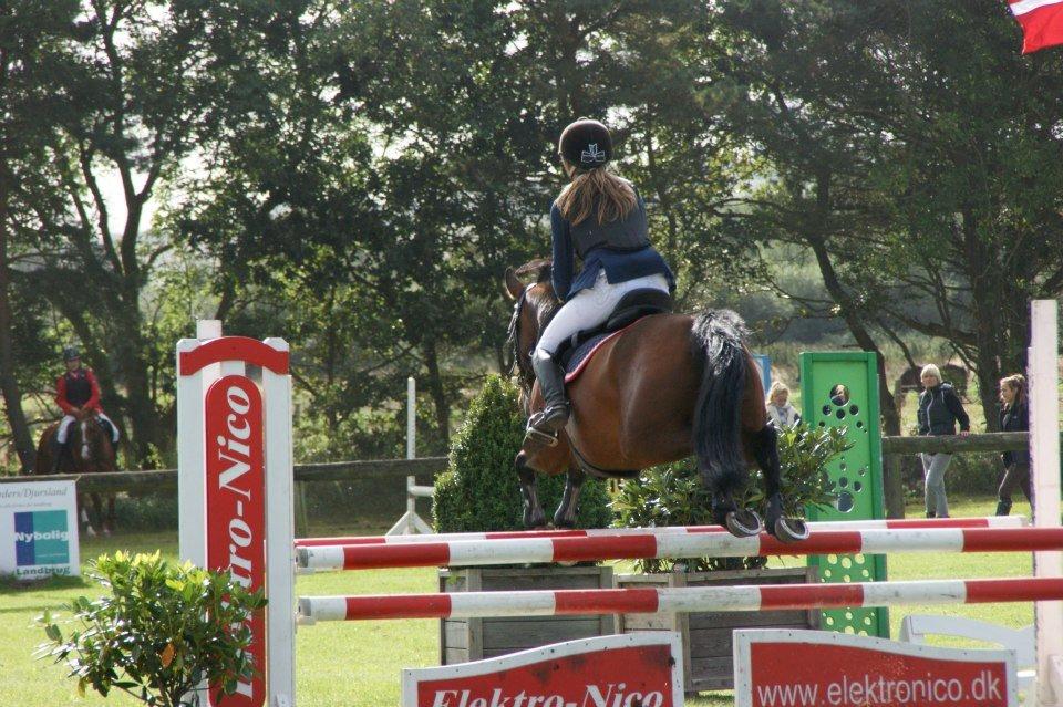 Anden særlig race Sam billede 9