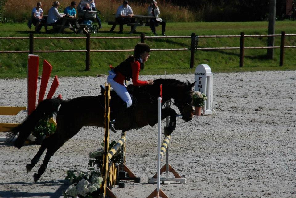 Anden særlig race Sam - Samse bamse siger farvel, tak fordi i kiggede med! billede 10