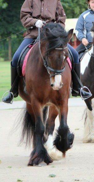 Tinker Valentins Emma billede 18