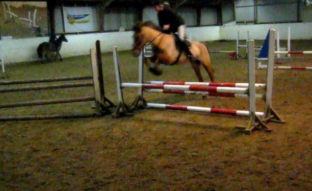 Anden særlig race kandis - træning hos Lars Fedder:) billede 3