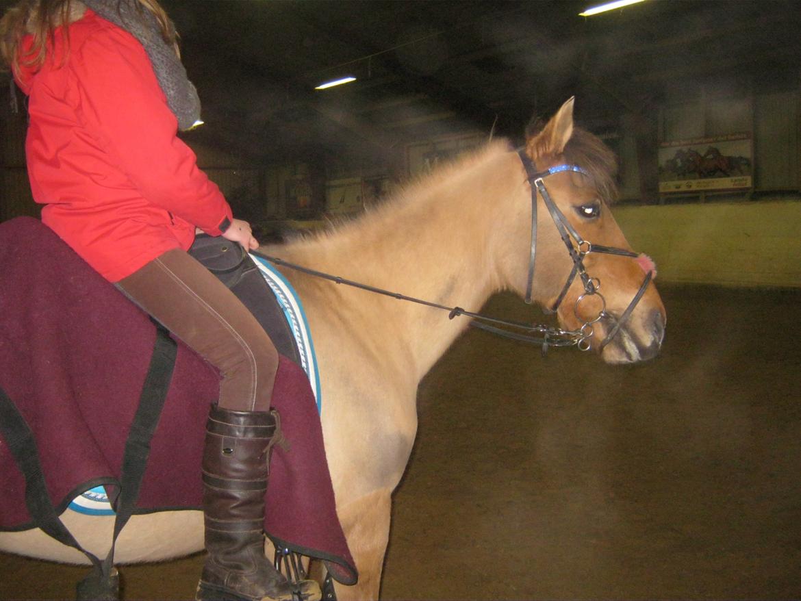 Anden særlig race kandis billede 6