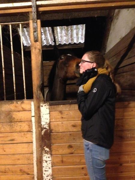 Irsk Sportspony Dundee Love you forever <3 - Sidste farvel til Dundee </3 billede 20