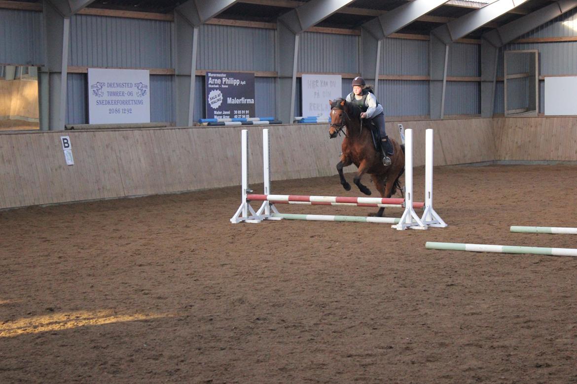 Dansk Varmblod Kraglunds Rosianna [ Tidl.LÅNEHEST] SOLGT!  billede 9