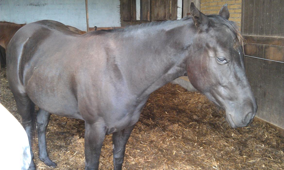 Paint One Smart Obsession (SOLGT) billede 15