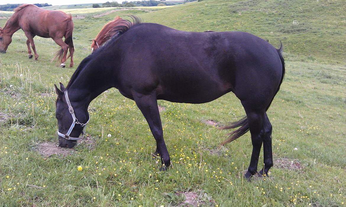 Paint One Smart Obsession (SOLGT) billede 16