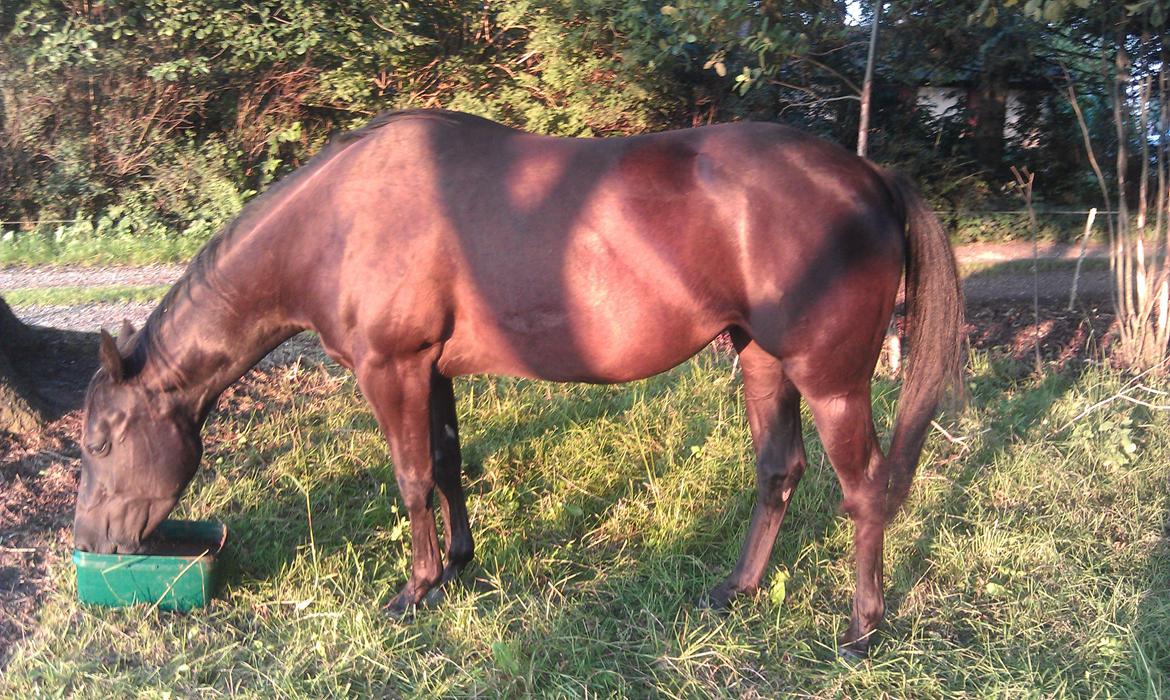 Paint One Smart Obsession (SOLGT) billede 19