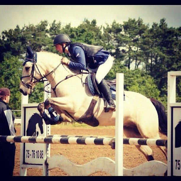 Irsk Sportspony Maam Boy<3 billede 1