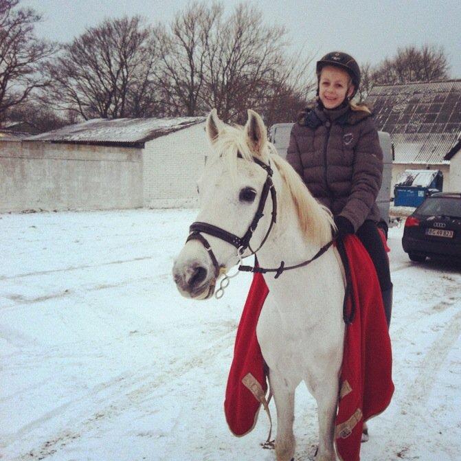 Anden særlig race Awanca - Januar 2012 billede 2