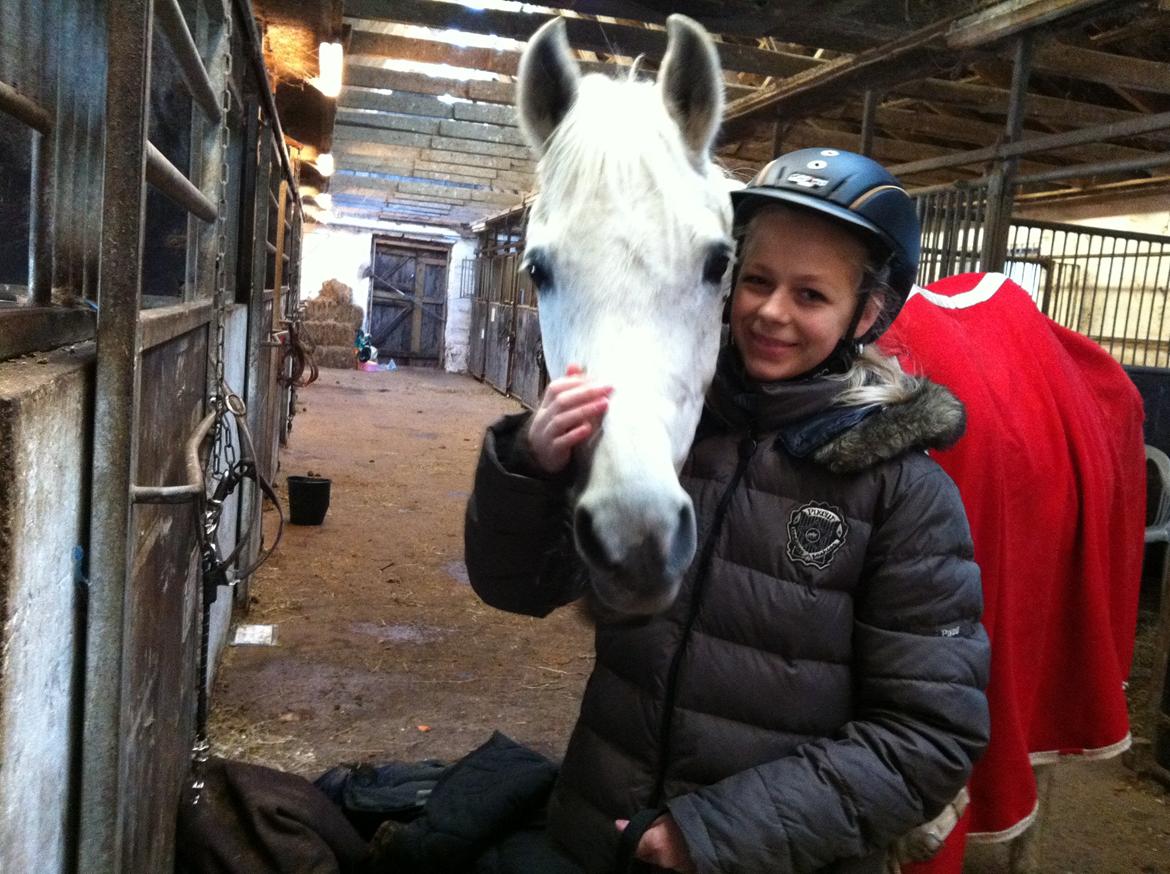 Anden særlig race Awanca - Januar 2012 billede 4