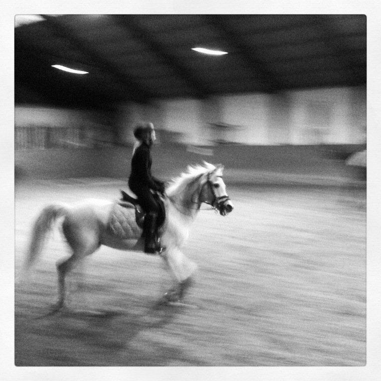 Anden særlig race Awanca - April 2012 billede 5