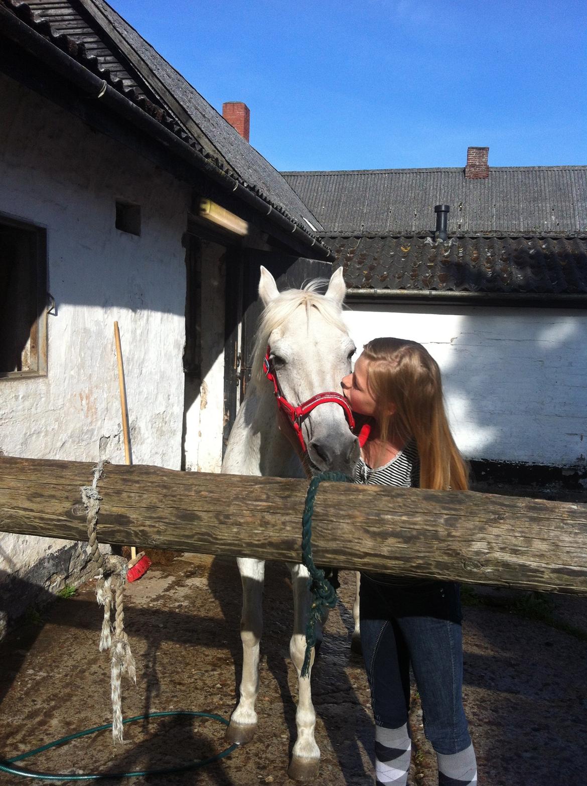 Anden særlig race Awanca - Maj 2012 billede 6